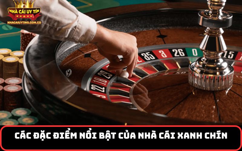 Các đặc điểm nổi bật của Nhà Cái Xanh Chín