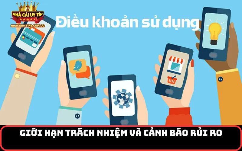 Giới hạn trách nhiệm và cảnh báo rủi ro